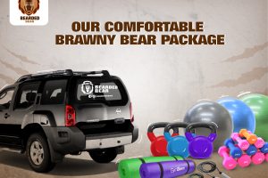 brawny bear package